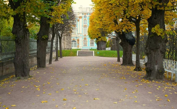 Sonbahar Sabahı Tsarskoe Selo Daki Catherine Park Yürüyüş — Stok fotoğraf