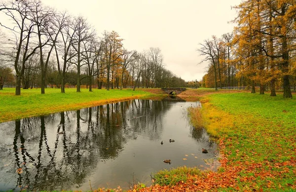 Ein Verregneter Oktobermorgen Und Ein Spaziergang Alexander Park Zarskoje Selo — Stockfoto