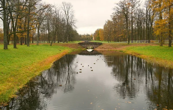 Una Mañana Octubre Lluviosa Paseo Por Parque Alexander Tsarskoe Selo —  Fotos de Stock