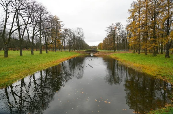 Uma Manhã Chuvosa Outubro Passeio Parque Alexander Tsarskoe Selo — Fotografia de Stock