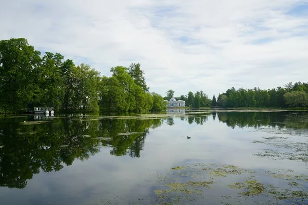 Sommersonniger Morgen Und Ein Spaziergang Großen Teich Catherine Park — Stockfoto