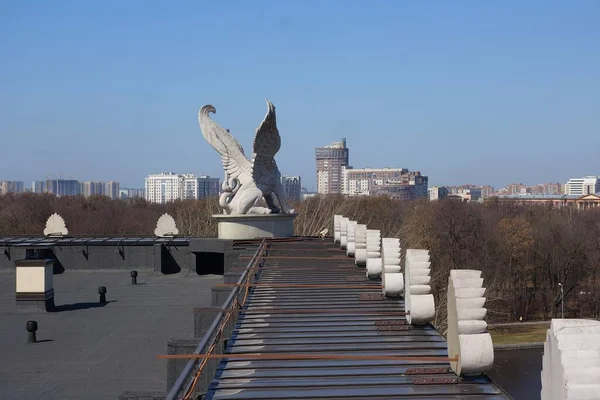 Конструктивні Рішення Даху Сучасного Багатостінного Мулу — стокове фото