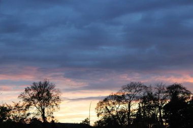 Gün batımında ağaçlar gölgeler ve bulutlu gökyüzü 