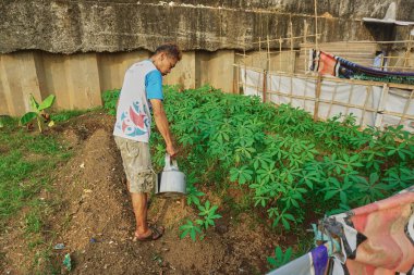 Jakarta, Endonezya - 6 Ağustos 2022: Bir adam öğleden sonra bahçesindeki bitkileri suluyor