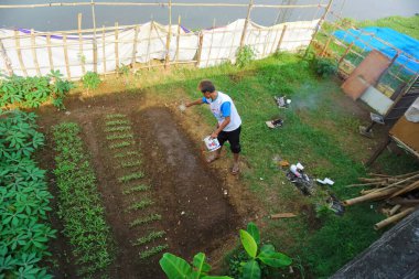 Jakarta, Endonezya - 21 Ağustos 2022: Bir adam, ağaçların dikileceği bahçeyi sulayarak etkinlikler düzenliyor