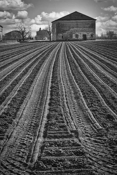 Land Geploegd Worden Gezaaid — Stockfoto