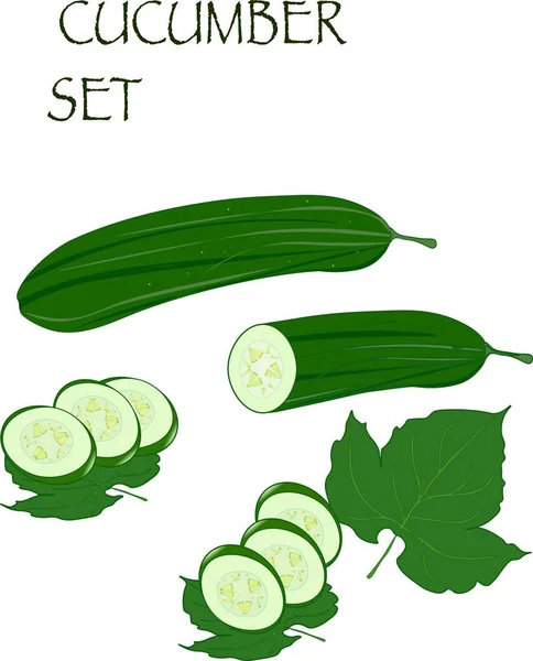 Cucumber Set Vector Illustration Label Markets Shops Garden Vegetables — Stockvektor