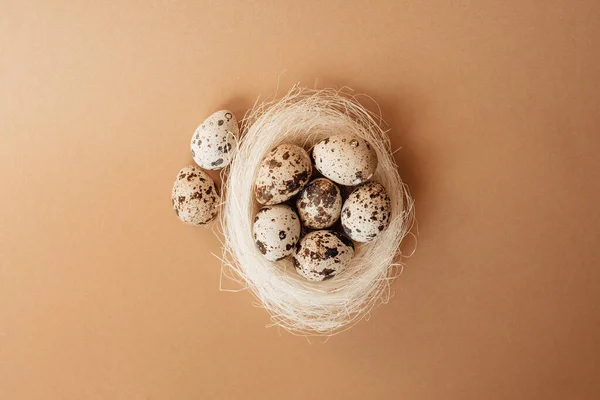 Quail Eggs Sisal Nest Pastel Beige Background Easter Decoration Egg — Stock Photo, Image