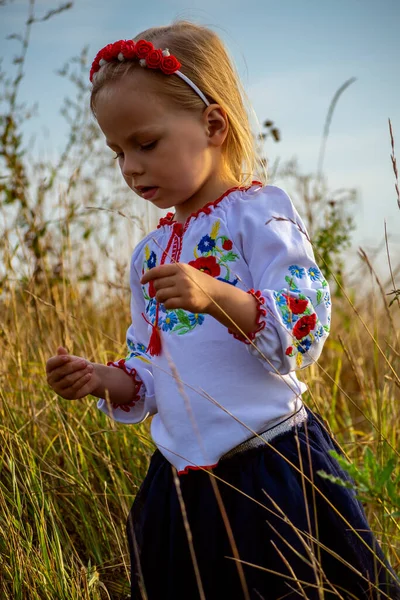 Ukrajinská Dívka Národním Oblečení — Stock fotografie