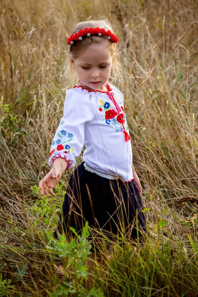 Chica Ucraniana Ropa Nacional — Foto de Stock