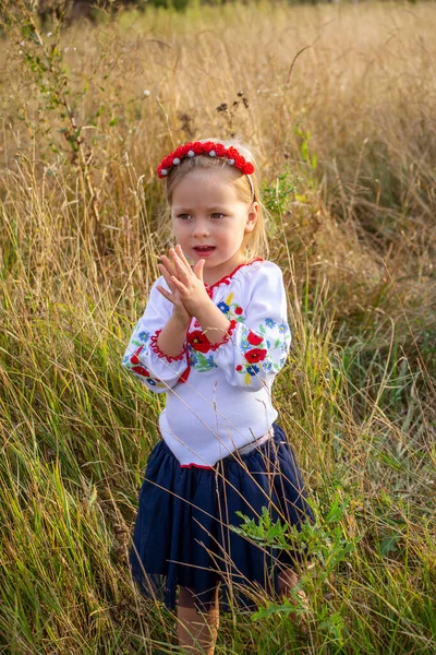 Ukrajinská Dívka Národním Oblečení — Stock fotografie