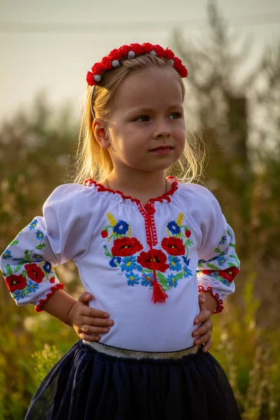Menina Ucraniana Roupas Nacionais — Fotografia de Stock