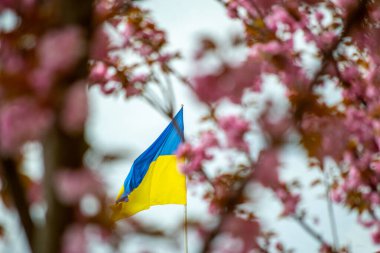 Vadinin güzel çiçekleri ve yaprakları sığ bir tarla derinliği olan arka plan görüntüsü..