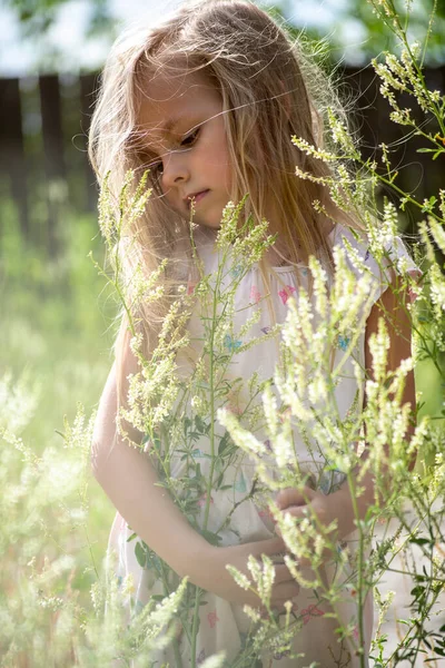 Girl Field Blossoming Flowers Concept Spring Park — Stock fotografie