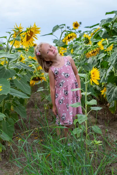 Krásná Dívka Slunečnicovém Poli — Stock fotografie