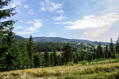 Karpatların güzel manzarası