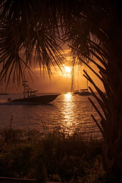 Vakker Solnedgang Ved Palmetrær Ved Havstranden Med Båter Som Seiler – stockfoto
