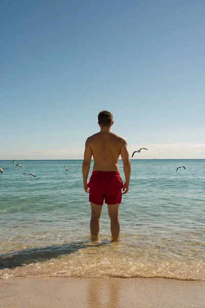 Kumsalda sırtüstü yatmış sabahları sakin denizi seyreden ve önünde kuşlar uçuşan genç bir adam. Atmosferin tadını çıkarıyorum. Yaz tatilindeki adam..
