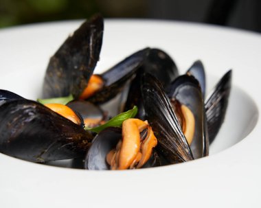 Beyaz tabakta enfes taze midyeler, içindekiler midyeler, domates sosu, gorgonzola peyniri, yağ ve sarımsak. Yemek konsepti. İtalyan yemeği..