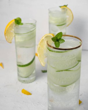 Gin Tonic with rosemary, cucumber and lemon on white background. Cold summer drink. Beverages and drink concept.