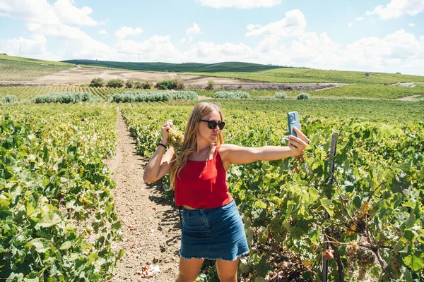 Güneş gözlüklü çekici genç sarışın kadın güneşli bir günde üzüm bağında akıllı telefonuyla selfie çekiyor..