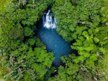 Mauritius 'ta çam ağaçlarıyla çevrili doğal göl manzarası