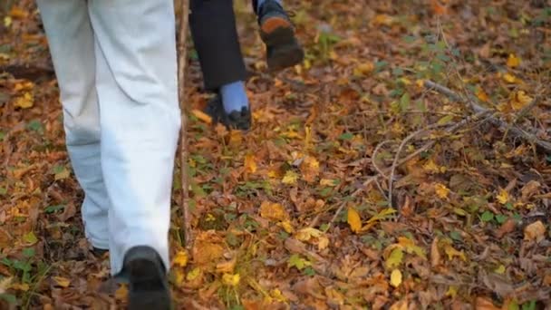 Två Oigenkännliga Människor Vandrar Genom Skogen Gyllene Löv Hösten Utsikt — Stockvideo