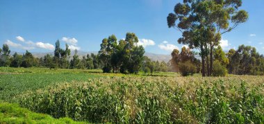 Paisajes turistikos de Peru