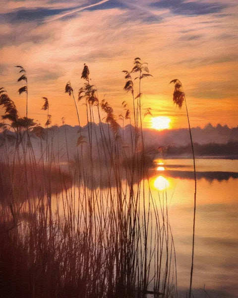 Dibujo Acuarela Pastel Finlandia Paisaje Natural Bosque Místico Brumoso Árboles — Foto de Stock