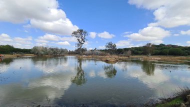 Kuşların Kanada 'sı