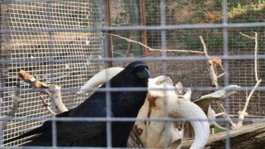 Sierra Nevada kış tatilleri karda