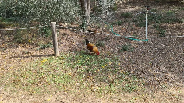 Sierra Nevada kış tatilleri karda