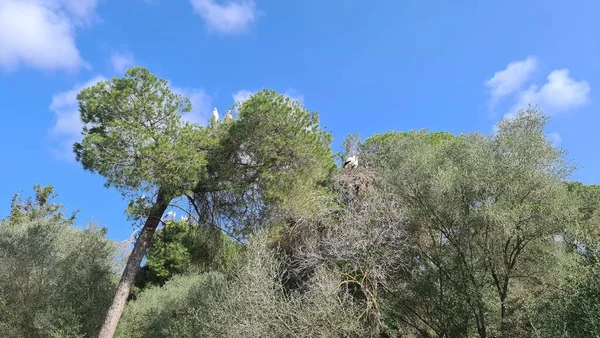 Sierra Nevada kış tatilleri karda