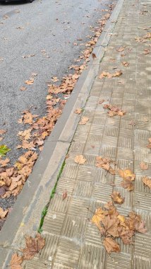 Sierra Nevada kış tatilleri karda