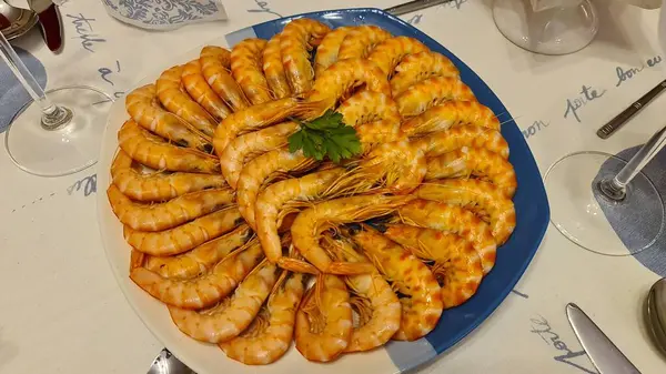 Sierra Nevada kış tatilleri karda