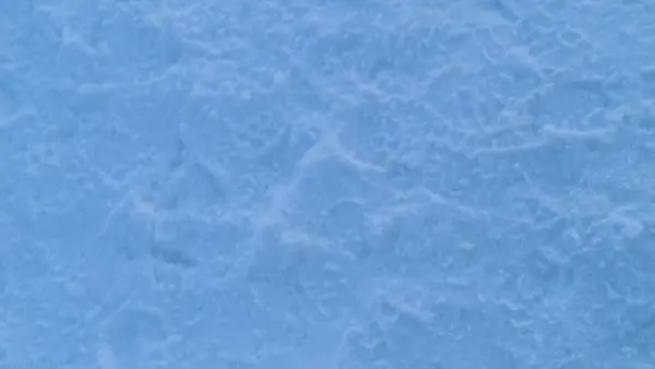 Sierra Nevada kış tatilleri karda