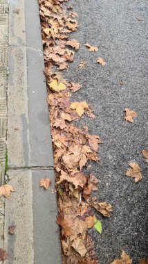 seville, walking, city, beautiful, dessert, christmas, belen