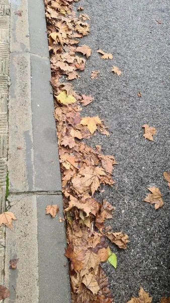 seville, walking, city, beautiful, dessert, christmas, belen