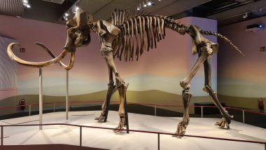 mimari, güzel, bina, şehir, sahil, ofis, seville, gökyüzü, ufuk çizgisi, İspanya, sokak, kule, kentsel, yürüyüş