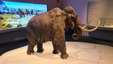 mimari, güzel, bina, şehir, sahil, ofis, seville, gökyüzü, ufuk çizgisi, İspanya, sokak, kule, kentsel, yürüyüş