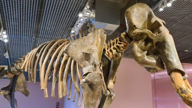 mimari, güzel, bina, şehir, sahil, ofis, seville, gökyüzü, ufuk çizgisi, İspanya, sokak, kule, kentsel, yürüyüş