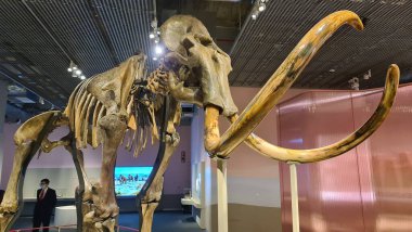 mimari, güzel, bina, şehir, sahil, ofis, seville, gökyüzü, ufuk çizgisi, İspanya, sokak, kule, kentsel, yürüyüş