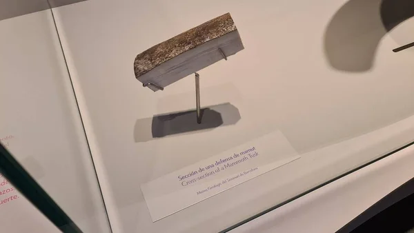 mimari, güzel, bina, şehir, sahil, ofis, seville, gökyüzü, ufuk çizgisi, İspanya, sokak, kule, kentsel, yürüyüş