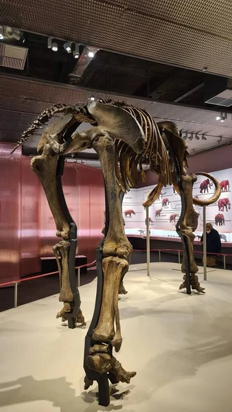 mimari, güzel, bina, şehir, sahil, ofis, seville, gökyüzü, ufuk çizgisi, İspanya, sokak, kule, kentsel, yürüyüş