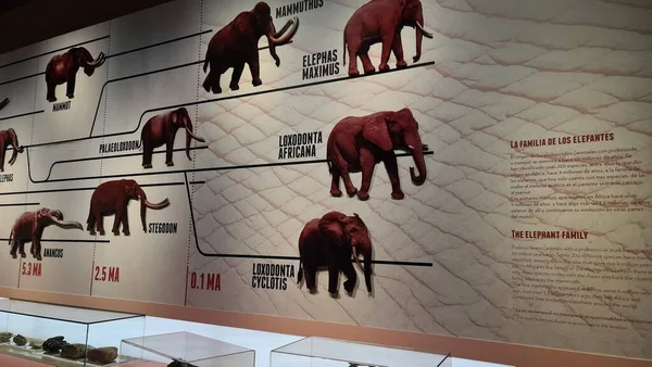 mimari, güzel, bina, şehir, sahil, ofis, seville, gökyüzü, ufuk çizgisi, İspanya, sokak, kule, kentsel, yürüyüş