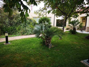 Gökyüzü, ağaç, karayolu, mimari, bina, seyahat, ev, la palma, şehir, manzara, sokak, ağaç, meyve bahçesi, doğa, yaz, park, şehir, ev, gündüz, tatil