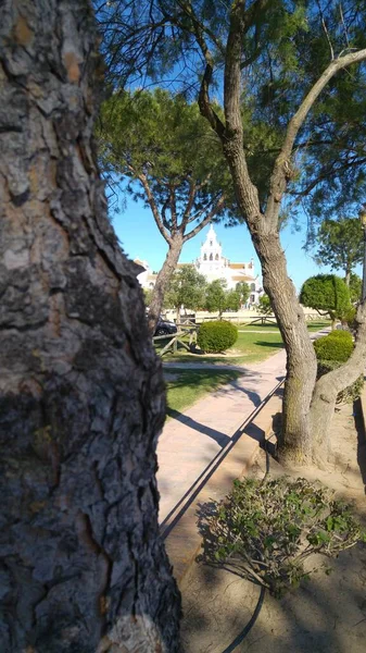 Gökyüzü, ağaç, karayolu, mimari, bina, seyahat, ev, la palma, şehir, manzara, sokak, ağaç, meyve bahçesi, doğa, yaz, park, şehir, ev, gündüz, tatil