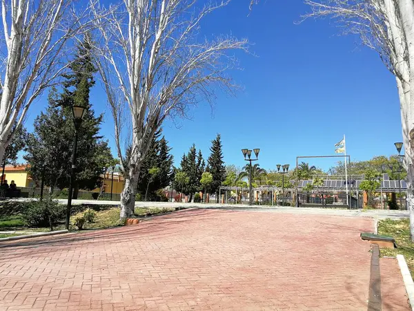 Gökyüzü, ağaç, karayolu, mimari, bina, seyahat, ev, la palma, şehir, manzara, sokak, ağaç, meyve bahçesi, doğa, yaz, park, şehir, ev, gündüz, tatil