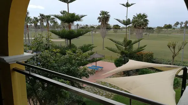 Gökyüzü, ağaç, karayolu, mimari, bina, seyahat, ev, la palma, şehir, manzara, sokak, ağaç, meyve bahçesi, doğa, yaz, park, şehir, ev, gündüz, tatil