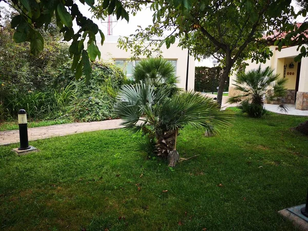 Gökyüzü, ağaç, karayolu, mimari, bina, seyahat, ev, la palma, şehir, manzara, sokak, ağaç, meyve bahçesi, doğa, yaz, park, şehir, ev, gündüz, tatil